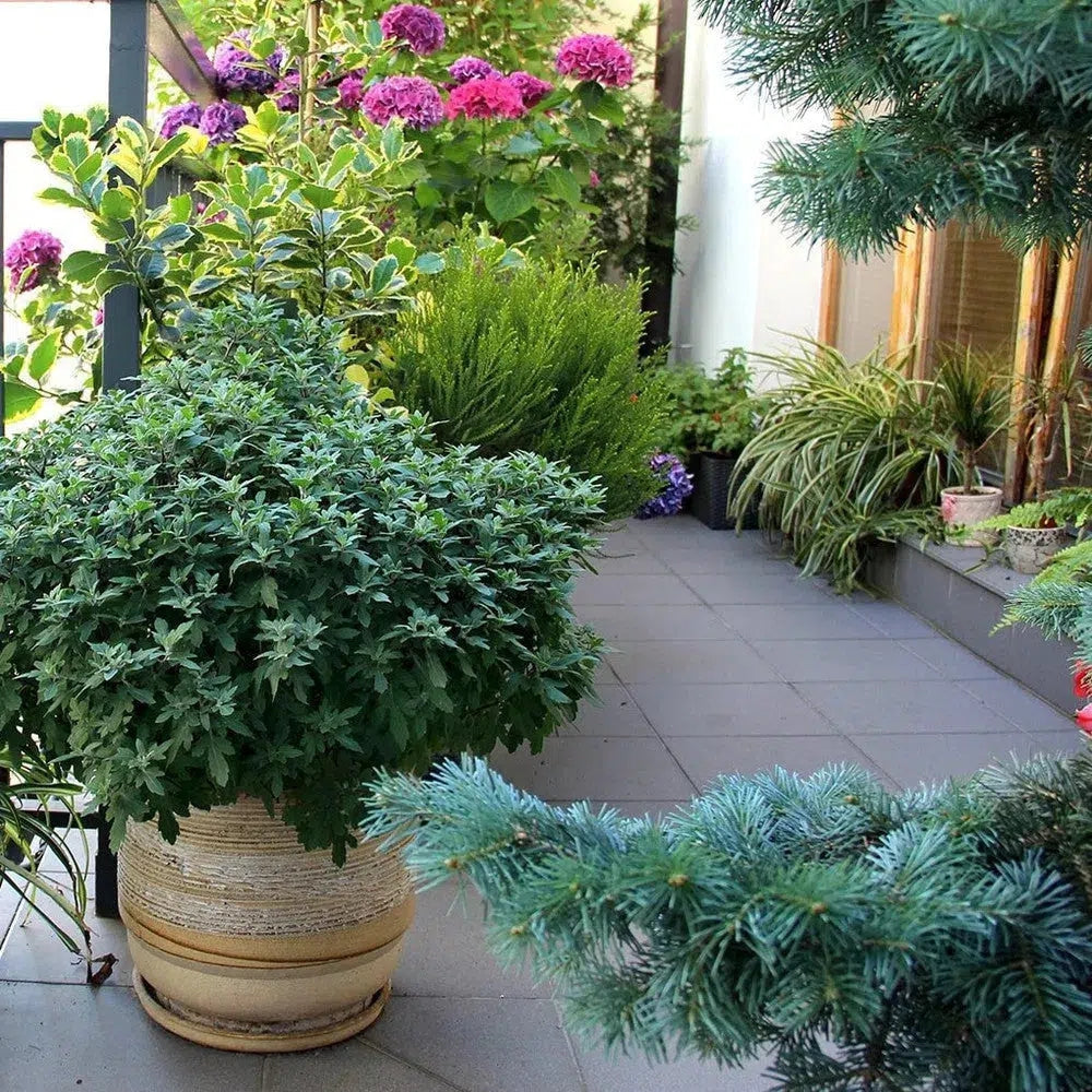 Handgefertigte Kunstblumen für Ihren Balkon: Eine ästhetische und zugleich praktische Lösung