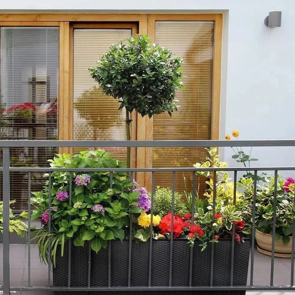Kunstpflanzen: Fünf Gründe, warum sie die perfekte Dekoration für Ihr Zuhause und Ihren Balkon sind