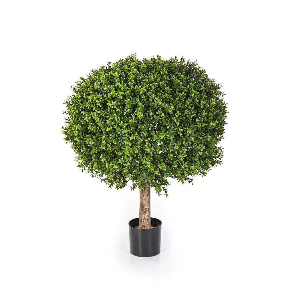 Künstlicher Buchsbaum Deluxe mit Echtholzstamm - Phil, 55 - 85 cm