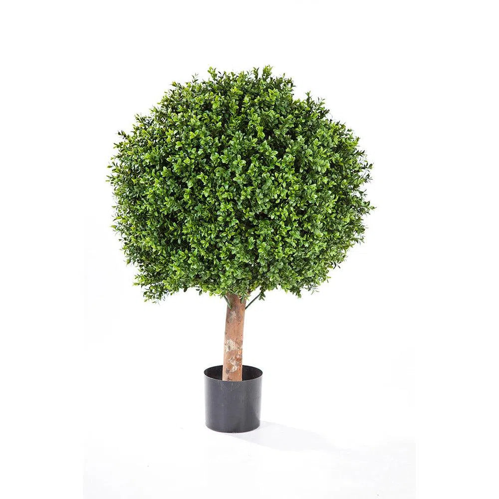 Künstlicher Buchsbaum Deluxe mit Echtholzstamm - Phil, 55 - 85 cm