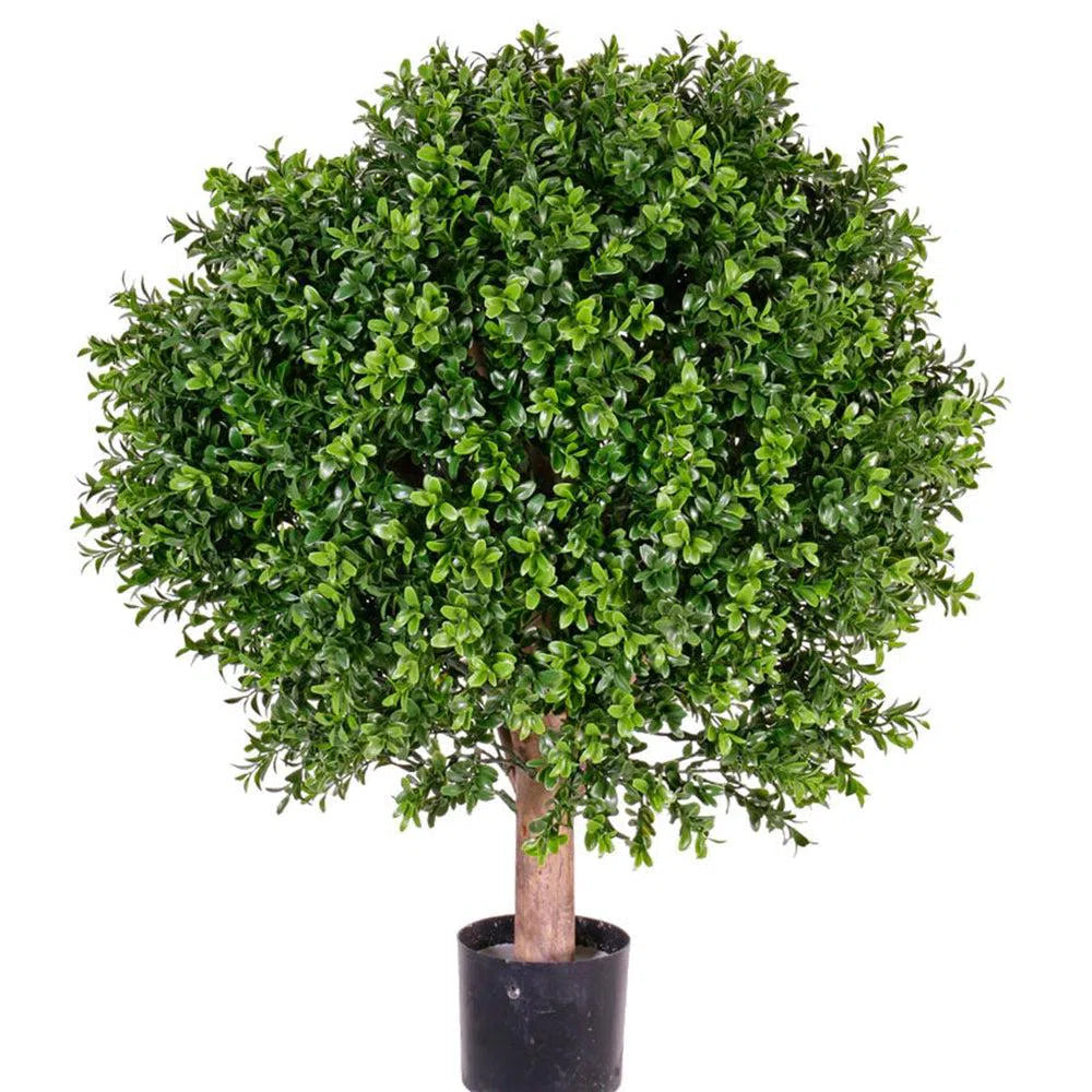 Künstlicher Buchsbaum mit UV-Schutz und Echtholzstamm - Arne, 35 - 65 cm