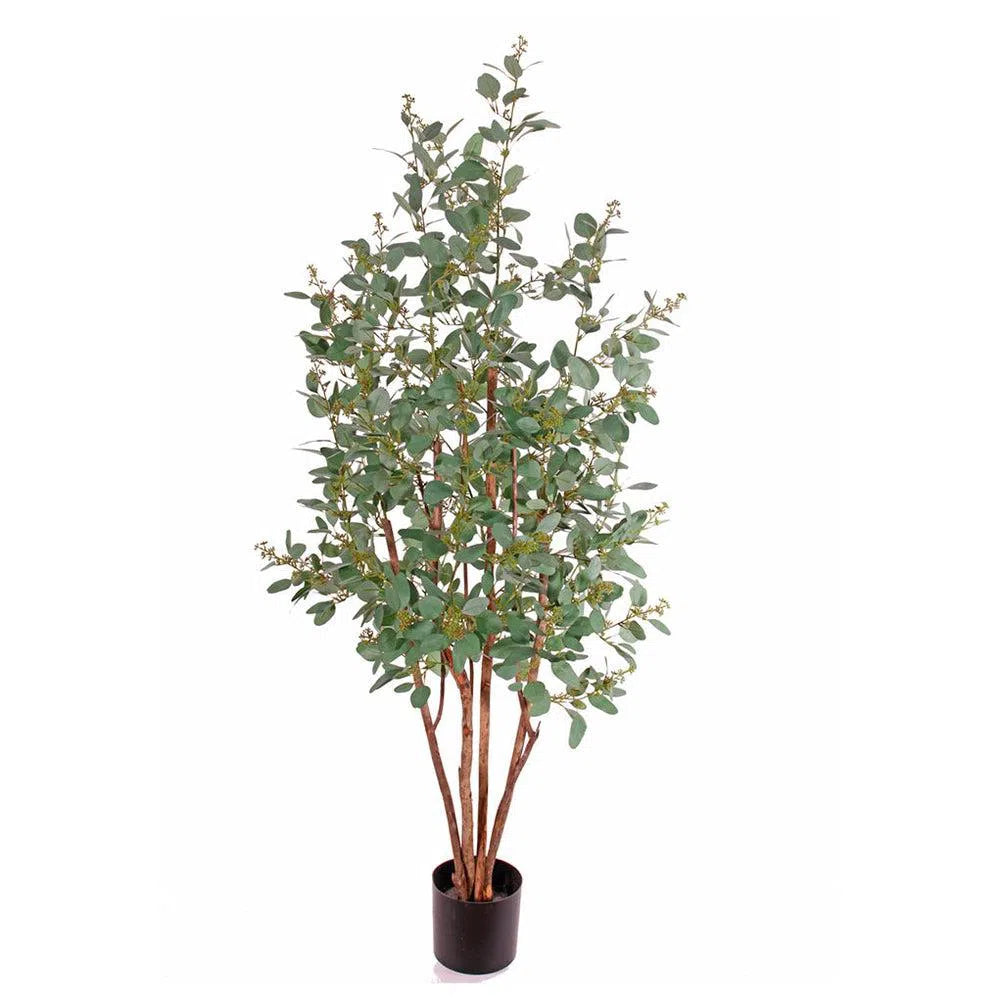 Künstlicher Eukalyptusbaum mit UV-Schutz und Echtholzstamm - Arlo, 165 cm