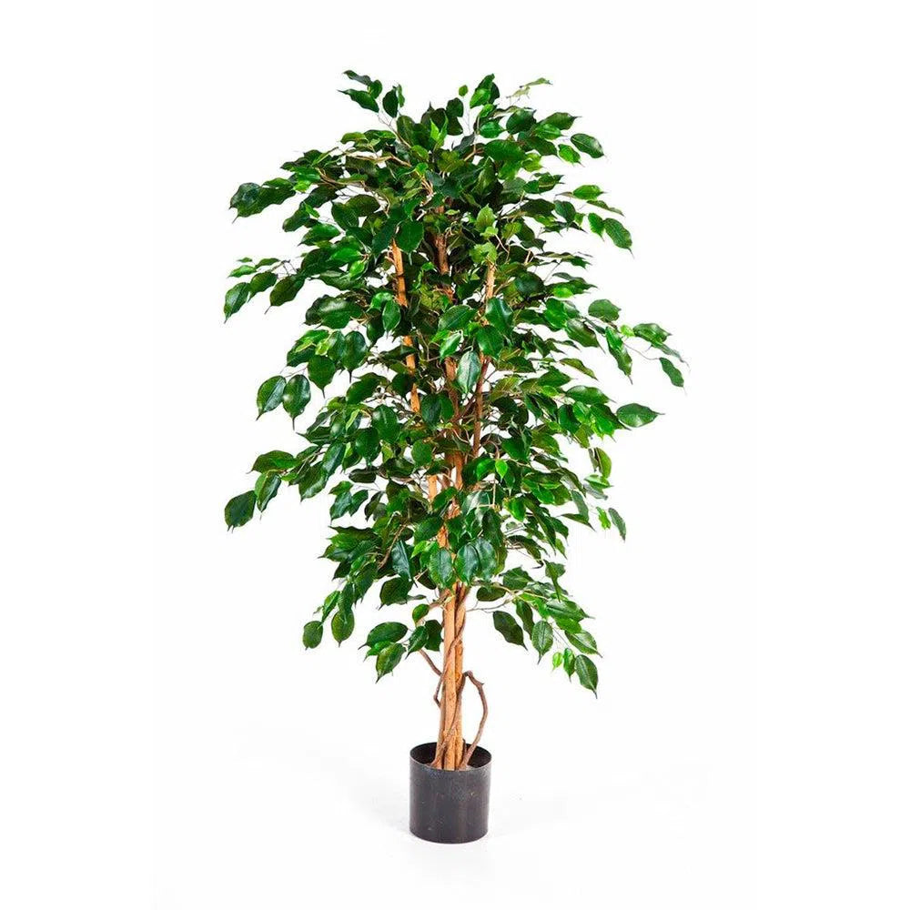 Künstlicher Ficus Benjamina mit Echtholzstamm - Bansa, 120 - 210 cm