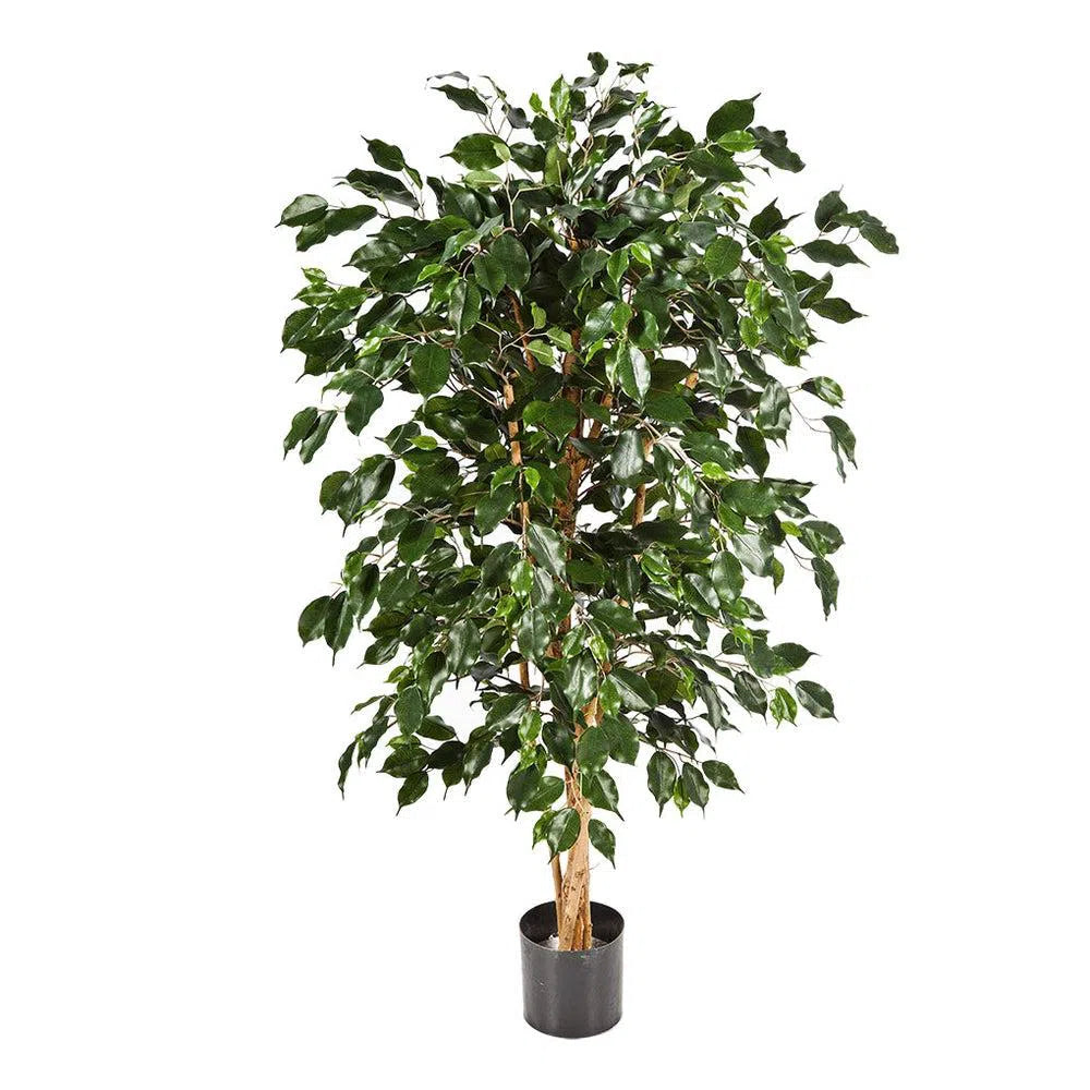 Künstlicher Ficus Benjamina mit Echtholzstamm - Bemitha, 150 - 210 cm