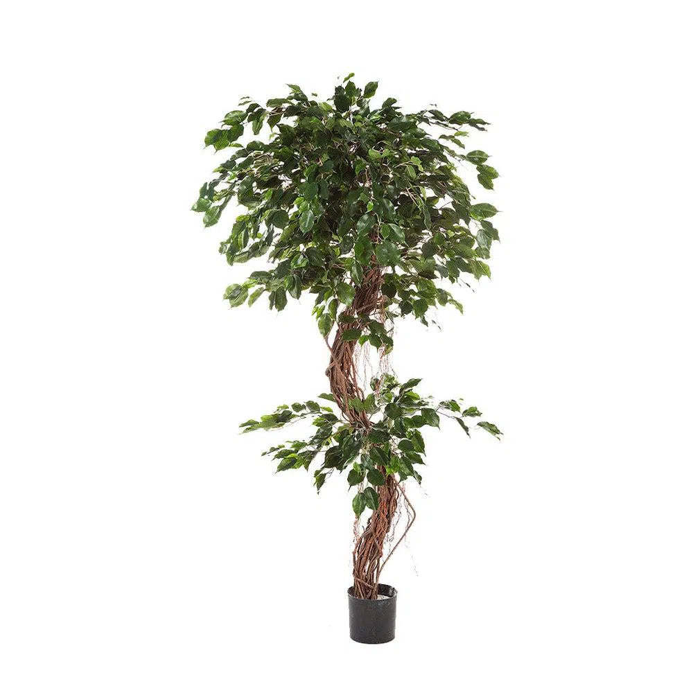 Künstlicher Ficus Liane Deluxe mit Echtholzstamm - Guenevere, 180 - 210 cm
