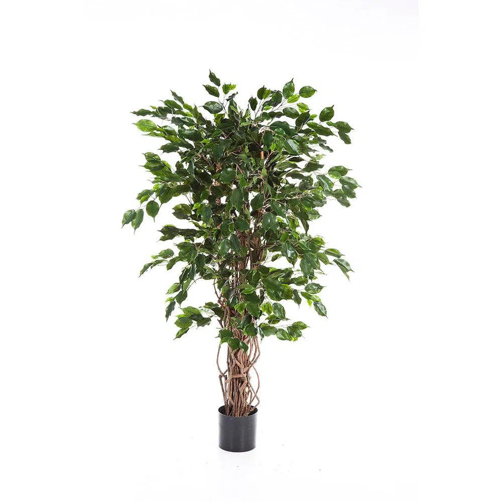Künstlicher Ficus Liane mit Echtholzstamm - Bhima, 150 - 210 cm