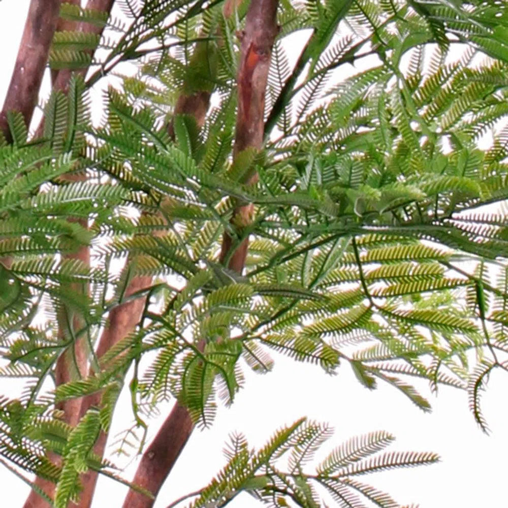 Künstlicher Mimosenbaum mit UV-Schutz und Echtholzstamm - Alice, 110 cm